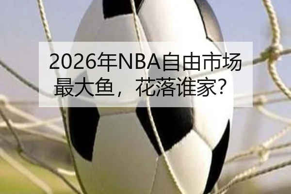 2026年NBA自由市场最大鱼，花落谁家？